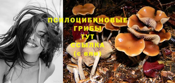 гидра Армянск